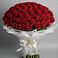 101 Красная роза Блэк Мэджик в Криводановке Букет 101 Красная роза Блэк Мэджик в Криводановке