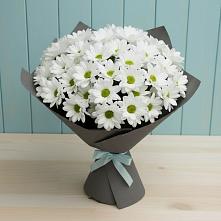 Букет белые хризантемы #REPLACE_PRED# Криводановке Букет цветов из:  Хризантемы #REPLACE_PRED# Криводановке